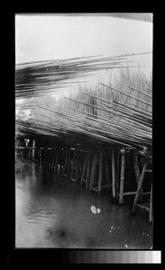 Bamboo poles ready for use, Sichuan China, ca.1900-1920