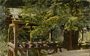 The Old Mill, Mill Valley, postcard 4729