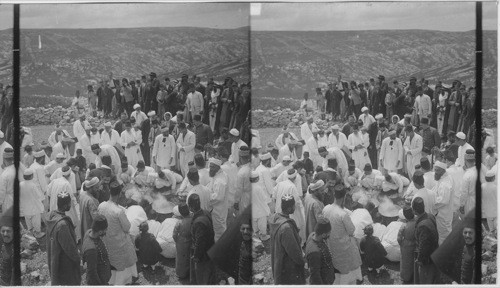 The Passover as celebrated today by the Samaritans, Mt .Gerizin, Palestine