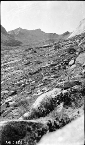 High Sierra Trail Investigation, east to Elizabeth Pass from 10,000' elevation. Left frame of panorama. Neg. copied reversed