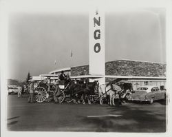 Horse and wagon at the Flamingo to welcome members of the California Beef Council, Santa Rosa, California, 1958
