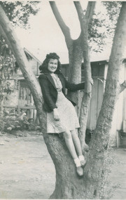 Isabel Luna Aparicio standing in a tree, Boyle Heights, California