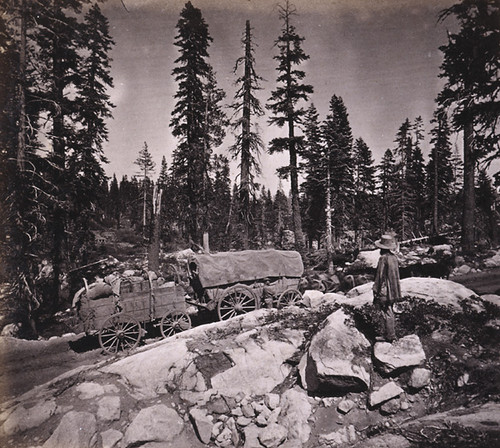 781. Teaming up the Summit on the Dutch Flat And Donner Lake Wagon Road, Placer County