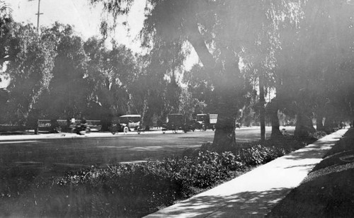 Early cars on Sunset Boulevard