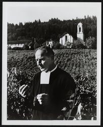 Brother Timothy inspecting the grapes