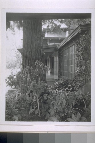 First Church of Christ, Scientist, Berkeley: [exterior, garden]