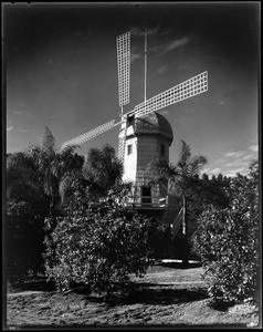 Windmill, Doheny Ranch, near Doheny Road, Beverly Hills, Calif., ca. 1915-1930s?