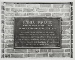 Plaque in memory of Luther Burbank