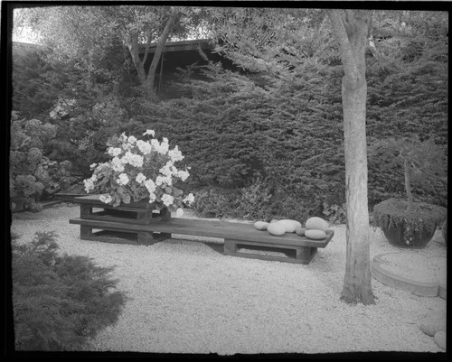 Landscaping for Jean Lawson: [Unidentified and miscellaneous]. Garden