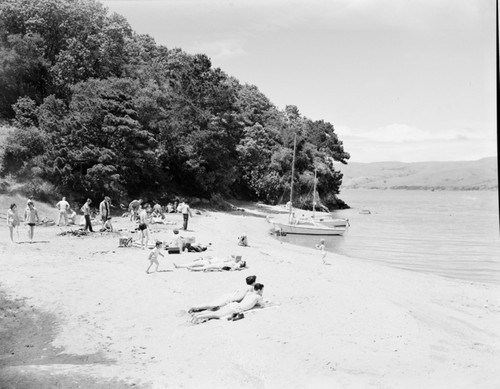 Summer: Shell Beach, Marin Co., Tomales Bay, California, 1950's