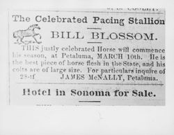 Advertisement for the appearance of "pacing stallion" Bill Blossom in the June 29, 1860 Sonoma County Journal