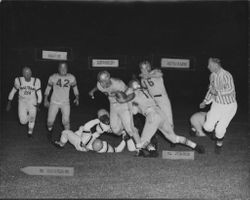 Leghorns beat Horsetrader Ed, Petaluma, California, Oct. 7, 1950