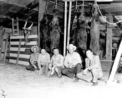 Hogs hanging from rafters of barn