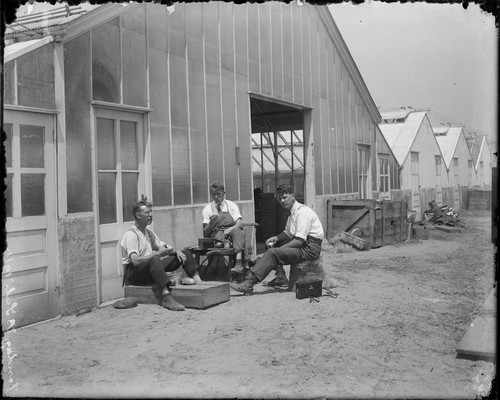 [Three men eating outside greenhouse. Johan Hagemeyer, center?] [negative]