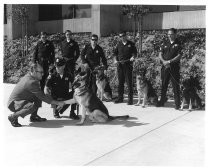 Group photo of police officers with K-9 dogs