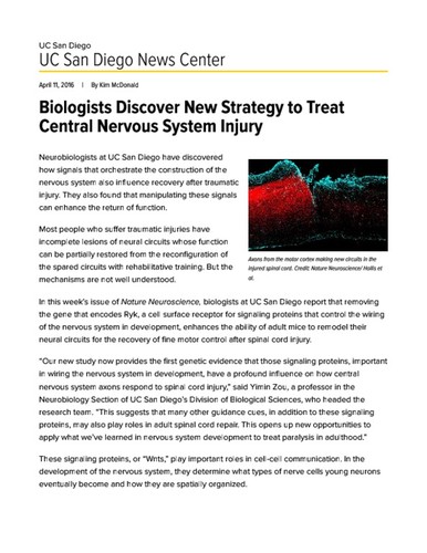 Biologists Discover New Strategy to Treat Central Nervous System Injury