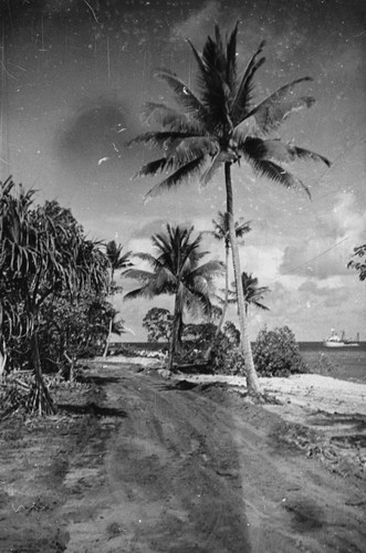 R/V Horizon (ship) off in the distance as seen from Eninman Island (part of the Marshall Islands) photographed by Alan C. Jones during a break from the Capricorn Expedition (1952-1953). 1952