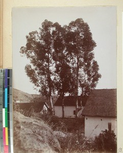 Manandona Mission Station, Madagascar, 1901