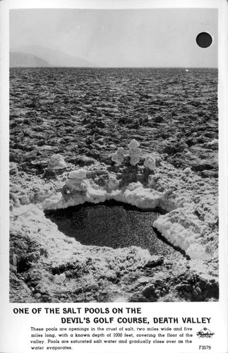 One of the Salt Pools on the Devil's Golf Course, Death Valley