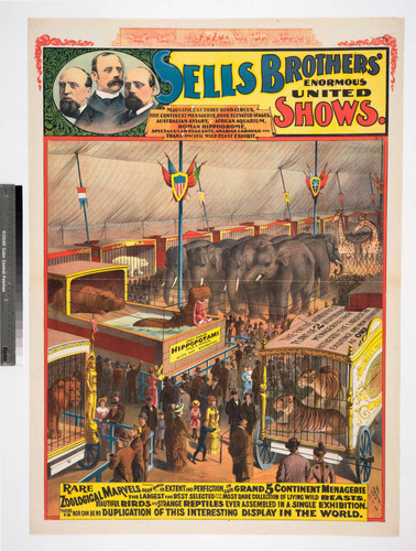Sells Brothers' enormous united shows : rare zoological marvels