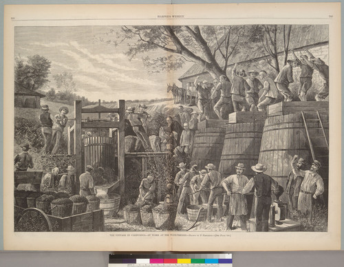 "The Vintage in California--At Work at the Wine-Presses"