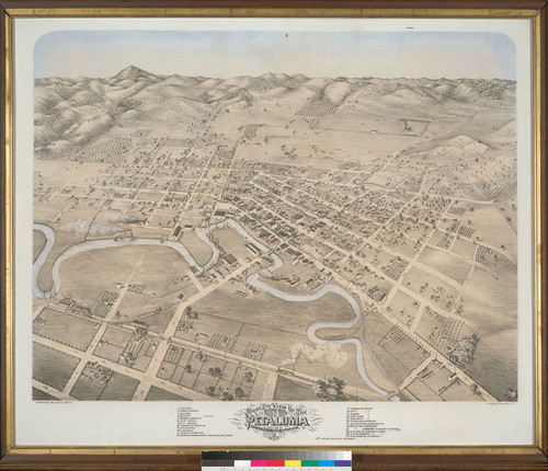 Bird's eye view of the City of Petaluma, Sonoma County, California : drawn by Augustus Koch