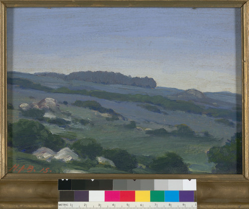 The Berkeley Hills, Cal