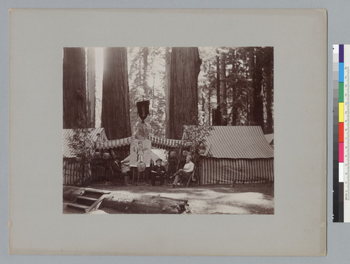 Three men sitting by striped tents with sign, "Blesses us all," Bohemian Grove. [photographic print]