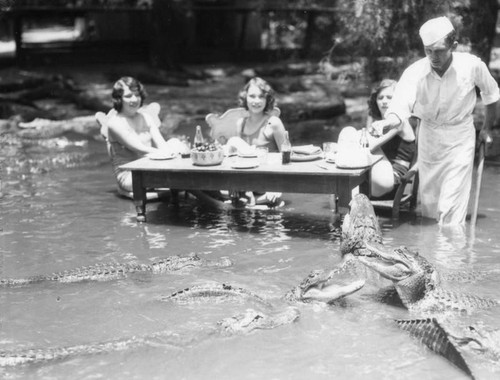 Women with alligators