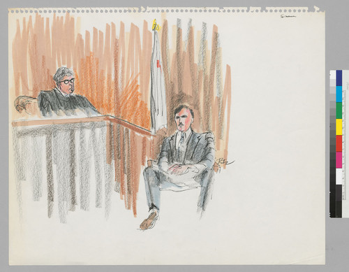 Simonson on stand, Judge
