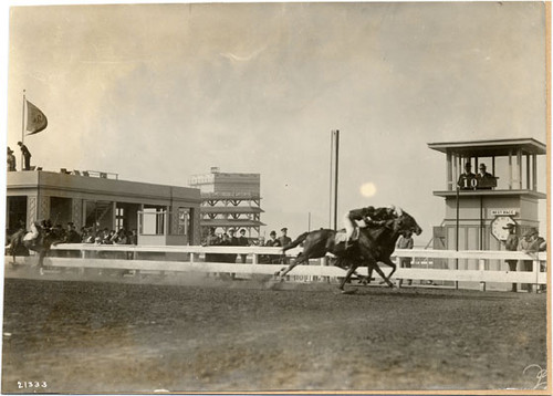 [Horse race at the Panama-Pacific International Exposition]