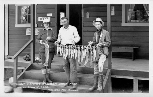 Limit Catches at Green Lakes Camp, Mono County, Calif