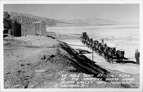 20 Mule Team at the Ruins of the Harmony Borax Works Death Valley Nat'l Monument, California