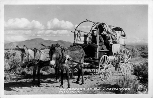 "Wanderer's of the Wastelands" California