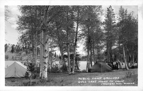 Public Camp Grounds Gull Lake Mono Co. Calif