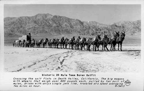 Historic 20 Mule Team Borax Outfit