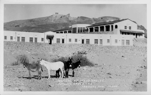 Natives at Death Valley Furnace Creek Inn