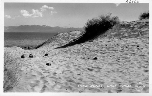 Sand Dunes, Lake Tahoe