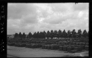Cargo of copper ingots, Beira, Mozambique, ca. 1940-1950