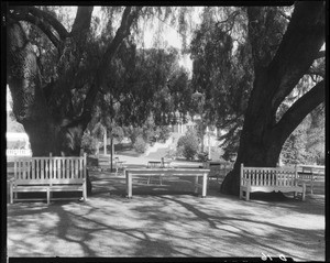 Lawn in front of house, Doheny Ranch, near Doheny Road, Beverly Hills, Calif., ca. 1915-1930s?