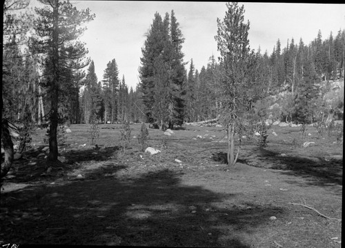 Meadow studies, Misc. Meadows, no feed, ground washing and sod broken. remarks: right panel of 2 negative panorama, Fig 47A Armstrong Report
