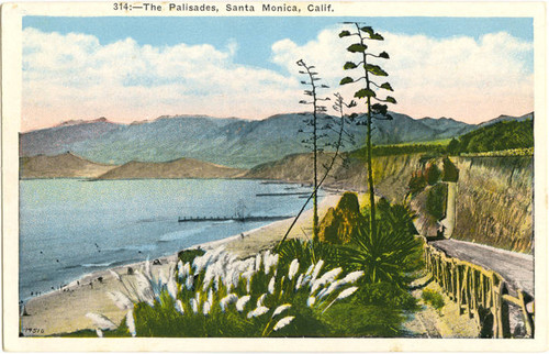"Palisades, Santa Monica, Calif."