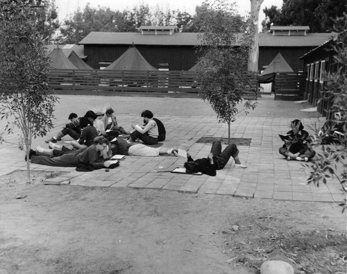 Reading Outdoors at Brandeis Camp Institute