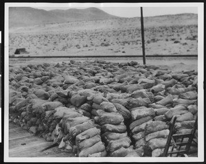 Sacks of magnesium ready for shipment at Magnesium Station near Death Valley, ca.1900