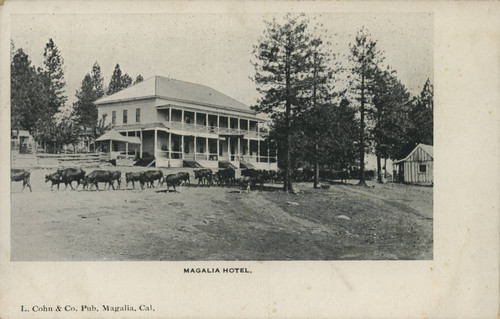 Magalia Hotel
