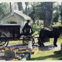 Horse and carriage hearse in cemetery