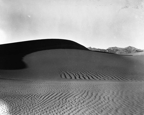 Three people walking on the sand dunes