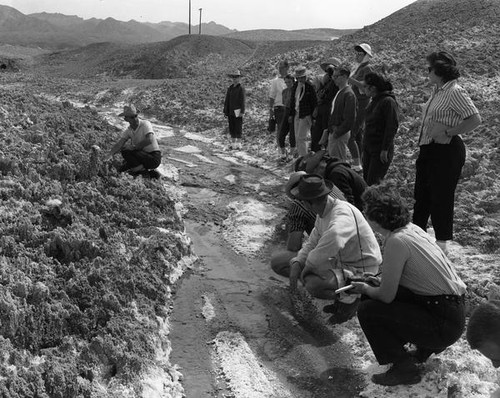 Students and teacher examining the terrain at Salt Creek