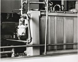 H.T.S.T. pasteurizer at the Petaluma Cooperative Creamery, about 1955