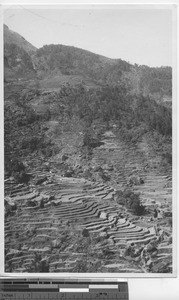 Terraced mountains at Dongzhen, China, 1937